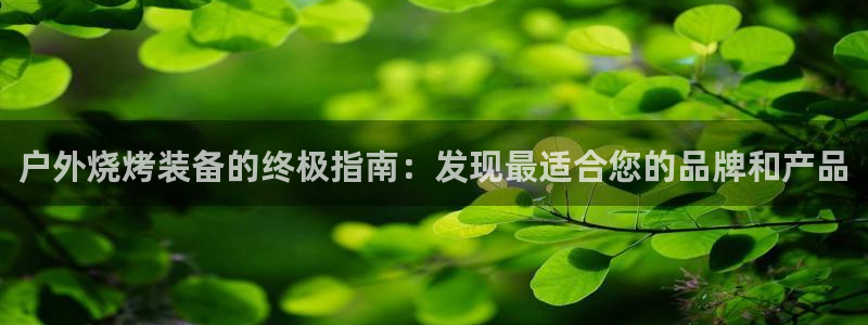 bsports官网登录下载